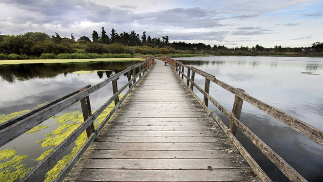 Image of footbridge crossing lake Image of footbridge crossing lake