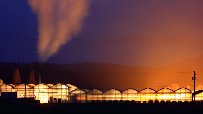 Image of greenhouses on Vancouver at night Image of greenhouses on Vancouver at night