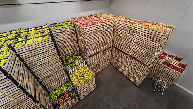 Image of fruit in cold storage
