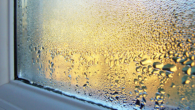 Condensation forming on window