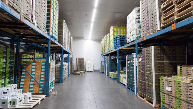 Image of the interior of Oppenheimer Foods warehouse facility Image of the interior of Oppenheimer Foods warehouse facility