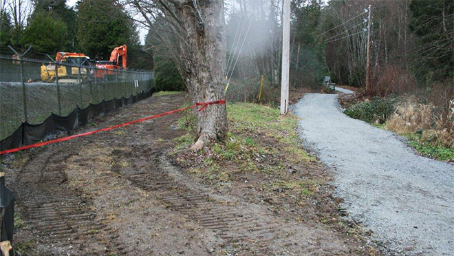 Photo of a realigned trail north of the Camosun Substation Photo of a realigned trail north of the Camosun Substation