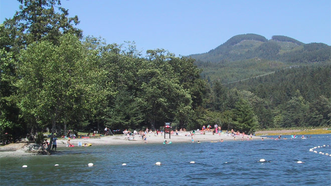 The beach at Hayward Recreation site The beach at Hayward Recreation site