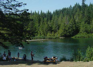 Swimmers at Puntledge River