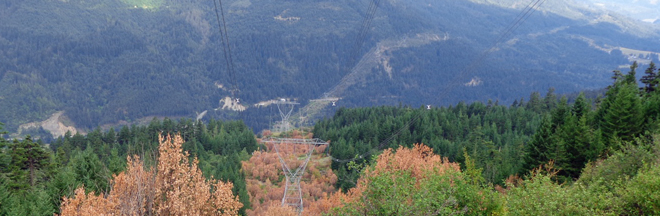 tower-corridor-feature-facility.jpg tower-corridor-feature-facility.jpg