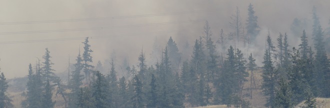 Wildfire in the Cache Creek (August 11, 2017) Wildfire in the Cache Creek 2017