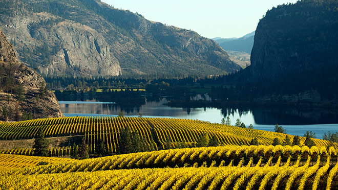 Okanagan Valley's Blue Mountain Vineyard and McIntyre Bluff Okanagan Valley's Blue Mountain Vineyard and McIntyre Bluff