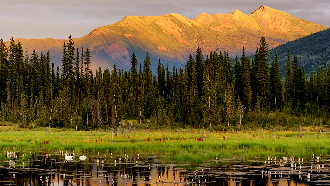 Toad River in northern British Columbia Toad River in northern British Columbia