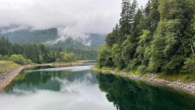 A view of a calm Coquitlam Lake through a dense green forest beneath misty mountains on a cloudy day.