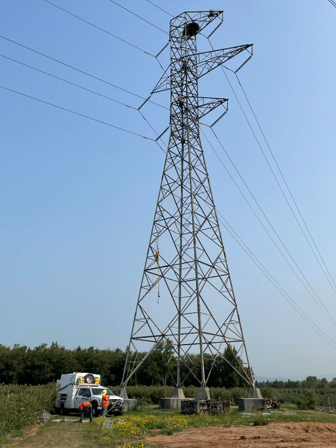 BC Hydro crew next to a transmission tower with an eagle's nest at the top