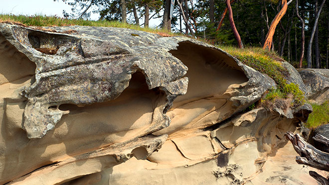 sandstone formations on beach Gabriola Island sandstone formations on beach Gabriola Island