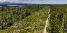 Aerial view of power transmission lines through a forest corridor. Aerial view of power transmission lines through a forest corridor.