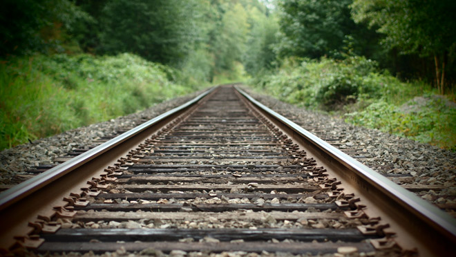 Image of active railroad tracks passing through the green forest of the Delta Nature Preserve Image of active railroad tracks passing through the green forest of the Delta Nature Preserve