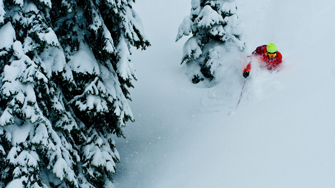 Revelstoke Mountain Resort skiing powder Skier in trees and powder at Revelstoke Mountain Resort