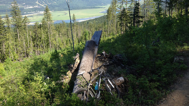 View from bike trail at Mt. McPherson, Revelstoke View from tightrope trail at Mt. McPherson mountain bike trails in Revelstoke.