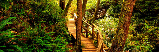 schooner-cove-660x216.jpg schooner-cove-660x216.jpg