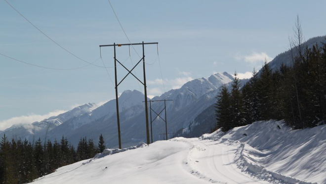 An example of a single circuit 230 kV transmission line.