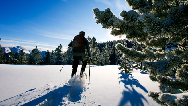 Image of snowshoer laying fresh tracks in a snow-covered alpine meadow Image of snowshoer laying fresh tracks in a snow-covered alpine meadow