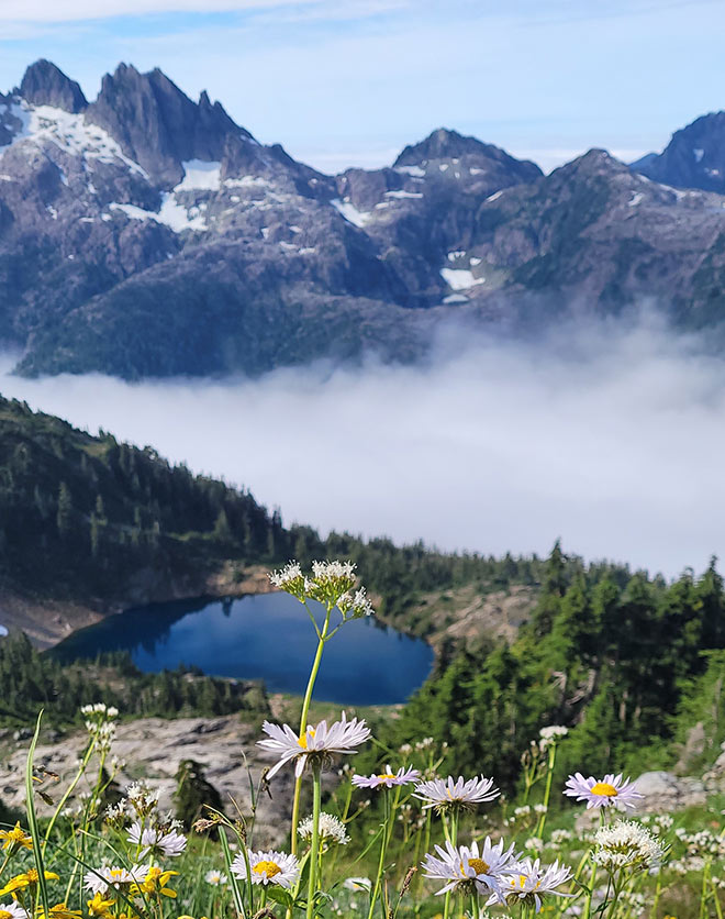 Wildflowers above Cobalt Lake on Vancouver Island.