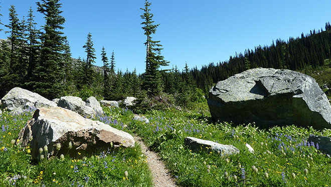 Image of hiking trail to Tenquille Lake Image of hiking trail to Tenquille Lake