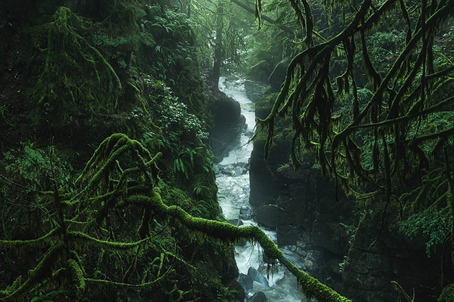 Image of Cypress Creek in West Vancouver, taken by Tristan Todd