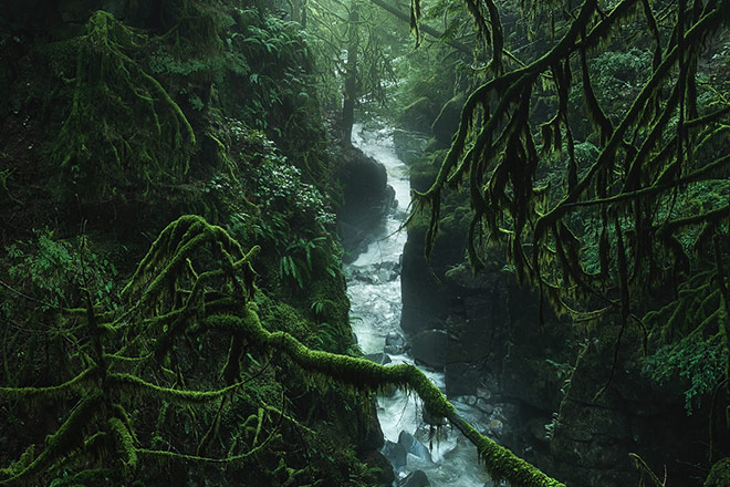 Image of Cypress Creek in West Vancouver, taken by Tristan Todd Image of Cypress Creek in West Vancouver, taken by Tristan Todd