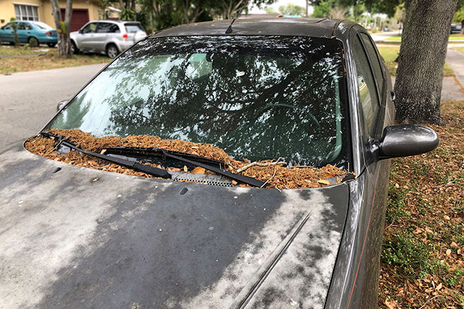 Image of an old car, covered with fallen leaves and debris