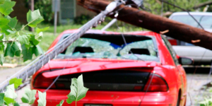 Fallen power pole on smashed red car and fallen trees