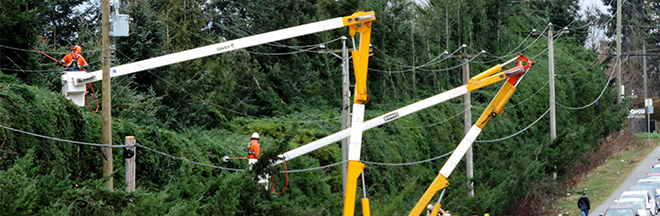 Workers manage trees near power lines