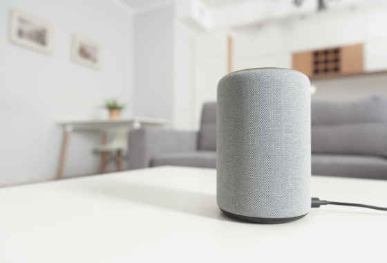 Using a smart speaker in the Livingroom.