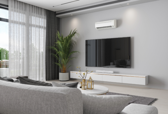 Modern Living Room Interior With Air Conditioner, Television Set, Potted Plant And Sofa