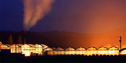 A greenhouse at sunset.