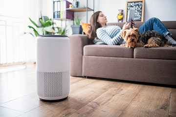 Is it time you added an air purifier to your home?