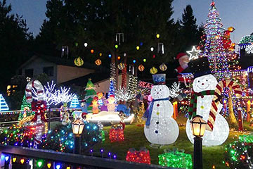 One British Columbian's 'healthy' addiction, and other B.C. holiday light gems