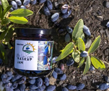 Haskap berry jam.