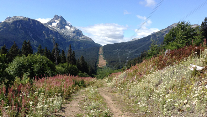 Mountain view in Telkwa Pass with a dirt trail cutting through wildflowers and power lines under a blue sky.