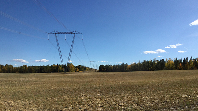 Transmission lines running over a field and trees Transmission lines running over a field and trees