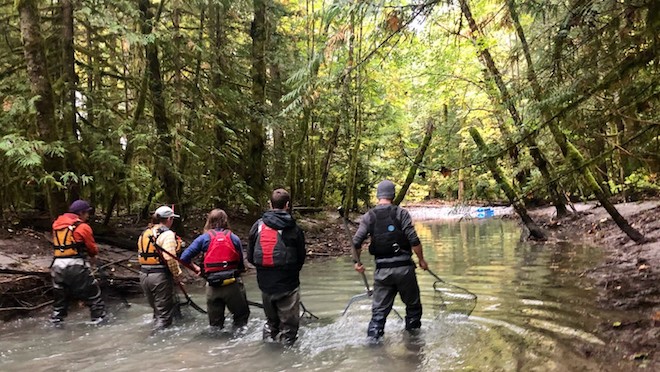 BC Hydro crew holding nets in the Cheakamus River