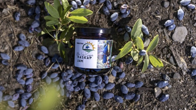 Berry jam from Haskap farms