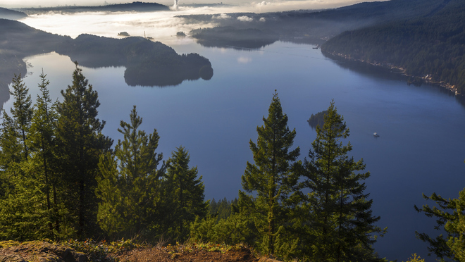 Aerial view of Buntzen lake above the tree tops