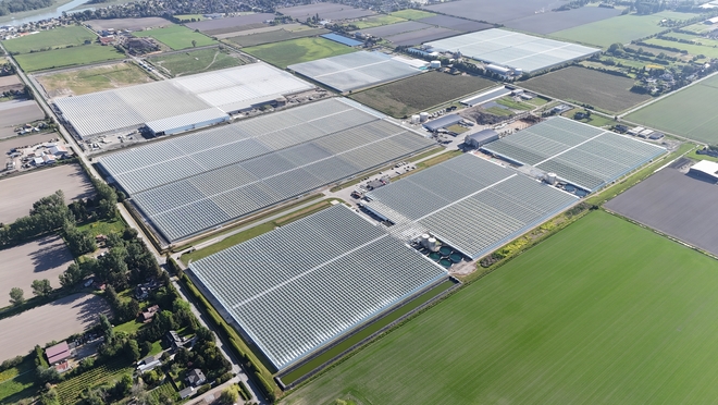 Aerial view of Windset Farms greenhouse campus and surrounding farmland.