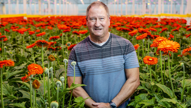 hollandia-pastorek-high-res_cropped.jpeg