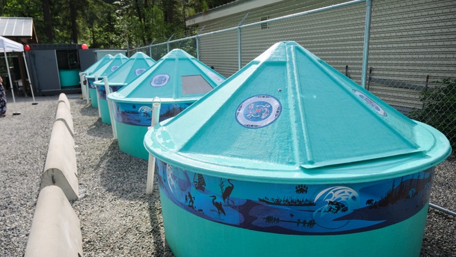 kwikwetlem-hatchery.jpg