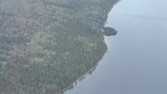 Aerial view of the floating island along the shoreline of Ospika Arm in Williston Reservoir on August 30, 2026.