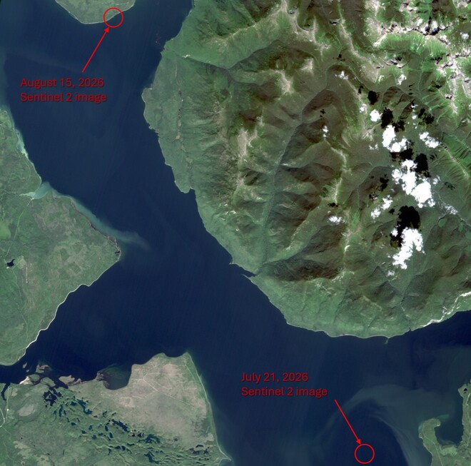 Satellite imagery showing the movement of the floating island in Williston Reservoir's Ospika Arm between July 21 and August 15, 2026.